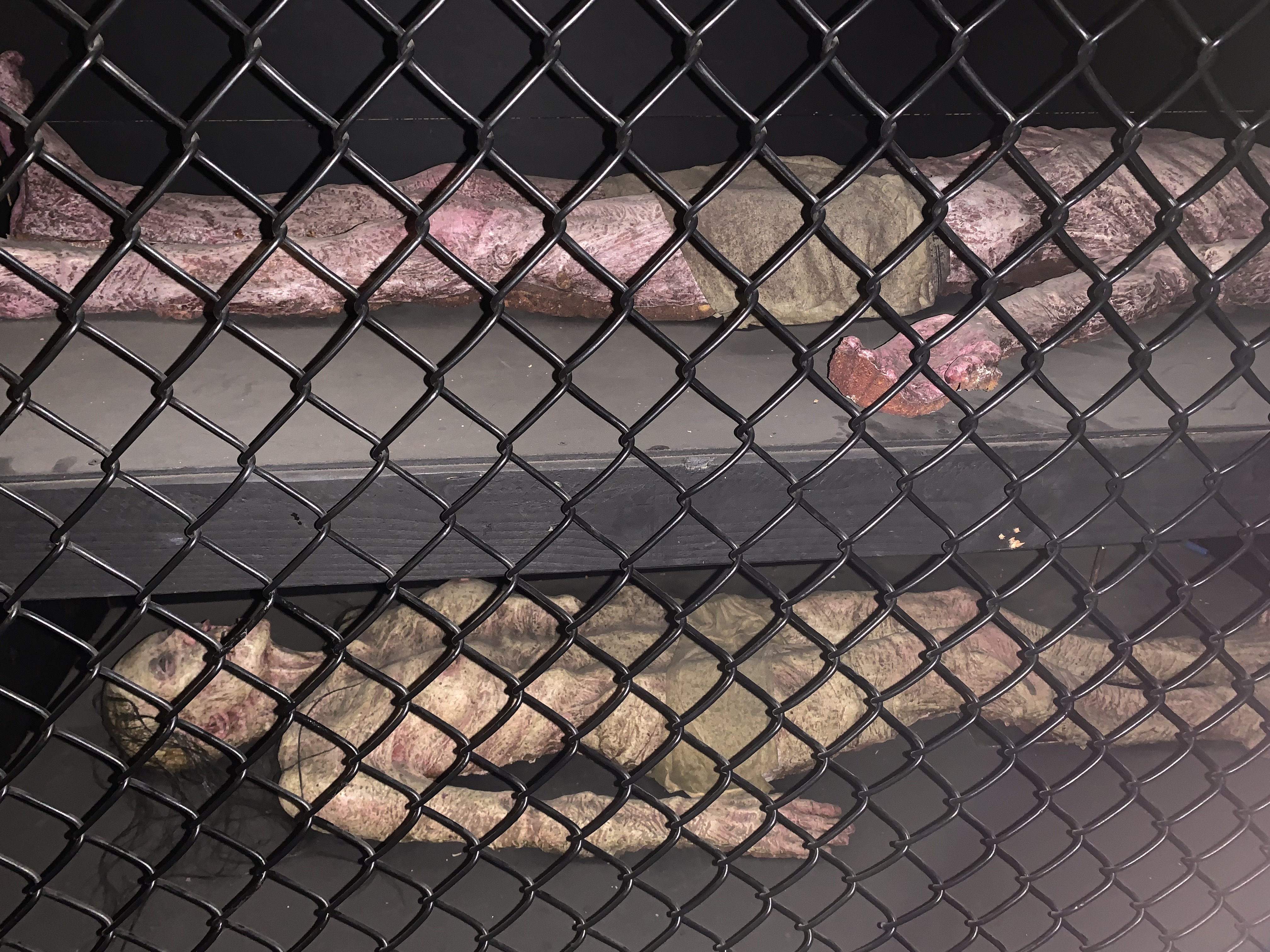 ./2022/06 - St Louis/06 - Day 6/20220526-152205475.JPG